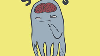 Human Brains Better Than Squids, Science Decides